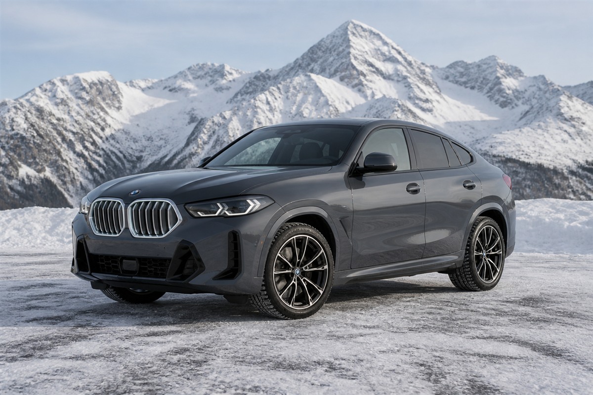 BMW X6