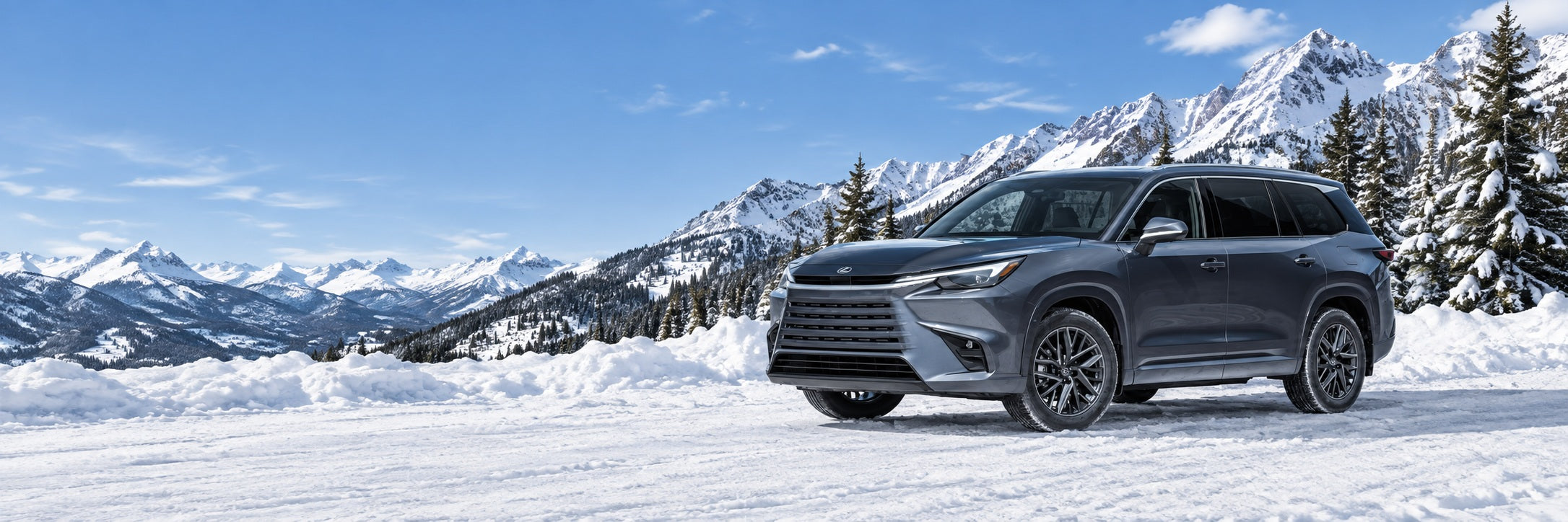 2024–2025 Lexus TX